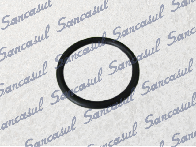 AN O-RING MENOR SELO - 65