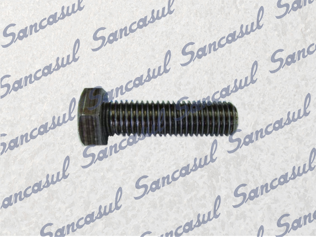 [PCSSAB1424243] PARAFUSO FIXADOR POLIA - 65/CMO