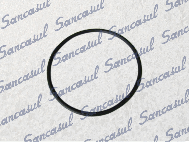 [PCSSAB1331075] ANEL BORRACHA DO SELO - 100 (MENOR - NOVO)