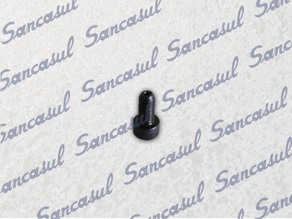 [PCSSAB1413330] PARAFUSO DO SELO - 180 MK4 (M5X10)